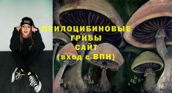 бошки Нягань