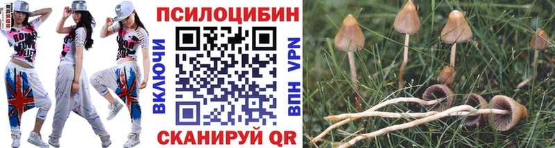 Псилоцибиновые грибы Psilocybine cubensis  наркота  Ленинградская 