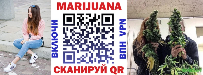 Бошки Шишки планчик  Ленинградская 